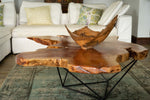 Live Edge Wood Coffee Table - Mid Century Modern - African Mahogany - Houston