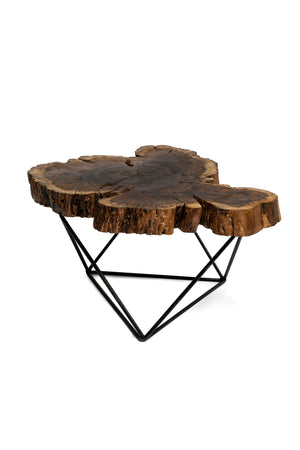 African Acacia coffee table